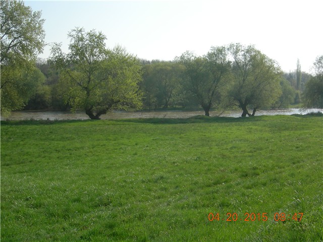 arčilend